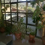 Pensjonat Restaurante Solaire Castañar de Ibor